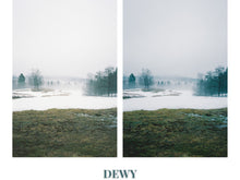 Load image into Gallery viewer, The Adventure Collection (12 NEW photo presets)