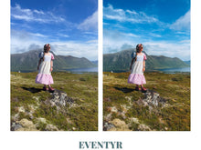 Load image into Gallery viewer, The Adventure Collection (12 NEW photo presets)