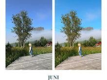 Load image into Gallery viewer, The Adventure Collection (12 NEW photo presets)