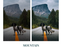 Load image into Gallery viewer, The Adventure Collection (12 NEW photo presets)